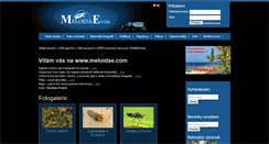 Desktop Screenshot of meloidae.com
