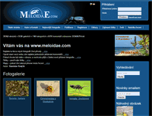 Tablet Screenshot of meloidae.com